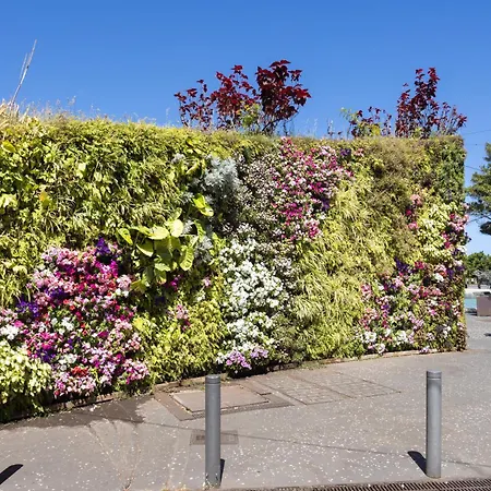 Appartement Home2book Cozy La Marina, Cruz Center *